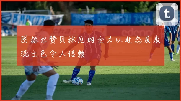 图赫尔赞贝林厄姆全力以赴态度表现出色令人信赖