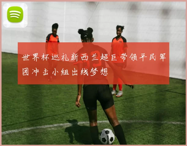 世界杯巡礼新西兰超巨带领平民军团冲击小组出线梦想